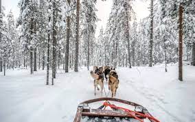 How Much Does It Cost To Go To Lapland 4 Day Budget Breakdown On The Luce Travel Blog
