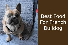 As your frenchie gets older, you'll want to transition to a senior formula dog food. The Best Food For A French Bulldog 8 Top Picks
