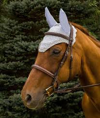 There are over 1000 patterns that you can easily download at the click of a button, including stunning designs from top brands such as. Equine Couture Fly Bonnet With Pearls And Crystals Breeches Com