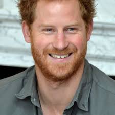 Prince Harry's moving speech about his dad gets interrupted by a bee