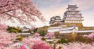 Dengan hadirnya media digital, manusia makin kreatif dalam berkarya. 7 Tempat Terbaik Untuk Melihat Bunga Sakura Di Jepang Tiket Com