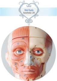 English is used widely internationally, and there’s a ready demand for good english speakers in All Courses Skintastic Aesthetics Ltd