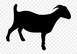 The guernsey goats are sometimes called olden guernsey. Boer Goat Mammal Free Transparent Png Clipart Images Download