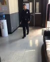 That S Gotta Be The Best Pirate I Ve Ever Seen Meme Compilation Pin By John Jacobson On Cool Stuff Video Funny Clips Funny Video Memes Funny Vid