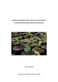 A simple way to root plants from cuttings. Http Www Futuretrees Org Wp Content Uploads 2020 08 Vegetative Propagation In Oak Worrell 2016 Pdf