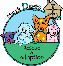 For example, they need to. Pets For Adoption At Mary S Dogs In Northwood Nh Petfinder