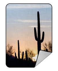 Not only does this keep your plant looking nice but it may encourage new blooms. Phfzk Nature Scenery Blanket Arizona Desert Landscape At Sunset With Saguaro Cactus Fleece Blanket Crystal Velvet Front And Lambswool Sherpa Fleece Back Throw Blanket 58x80inches Walmart Com Walmart Com