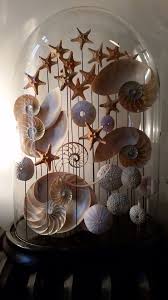 Cabinet De Curiosites Projets De Coquillage Deco Coquillage Bricolages Avec Des Coquillages