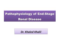 Learn the symptoms, causes, and treatments for this serious medical condition. Pathophysiology Of End Stage Renal Disease Dr Khaled Khalil Ppt Download