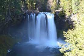 The famous mckenzie river trail and the incredible blue pool are favorite hikes, but don't forget the castle rock, horse pasture and the world famous pacific crest trail located within minutes of the. Mckenzie Pass Scenic Bikeway