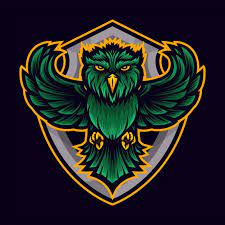  Green Owl Sport Logo Art Logo Owl Animal Logo