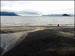 Mengikut lagenda atau mitos yang saya dengar, terdapat. Langkawi Black Sands Beach Pantai Pasir Hitam Perspective Of Langkawi