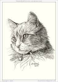 Original cats ink drawings for sale. Shafali S Pen Ink Portrait Art Pen Ink Pet Portraits And Drawings By Artist Shafali Anand Art Commissions Dogs Cats Wildlife And People