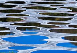 Curious people also travel long distance. The Useful But Obscure Contents Of Spotted Lake Outwardon Com