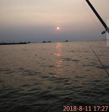Beragam jenis ikan laut seperti kakap putih mengandung. Tips Memancing Ikan Kakap Putih Baramundi Agar Hasilnya Maksimal Aliems Journey