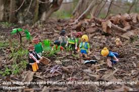 Die vielfalt von weltweiten pflanzengemeinschaften wird im ersten steinbruch gezeigt. Startseite Erich Maria Remarque Realschule Osnabruck