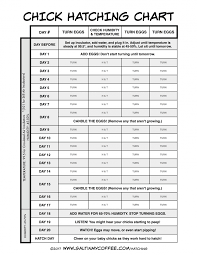 Printable Egg Incubation Chart Incubating Chicken Eggs