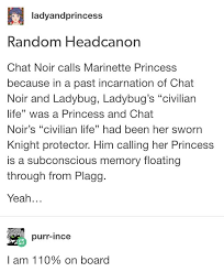 Why Chat Calls Marinette Princess That S Actually Really Good Because You Could Say Th Miraculous Ladybug Miraculous Ladybug Memes Miraculous Ladybug Funny
