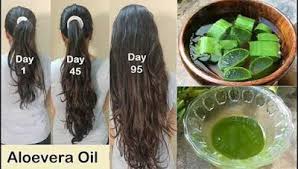 Remedes A La Maison Avec De L Aloe Vera Pour Les Cheveux A Avec Cheveux De La Laloe Les Maison Pou Grow Long Hair Hair Growth Diy Hair Growth Faster