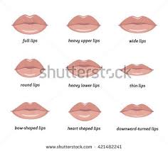 Various Types Of Woman Lips Set Of Vector Lips Shapes Set