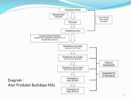 Ikan cupang merupakan salah satu jenis ikan hias yang saat ini banyak diminati kalangan muda. Ppt Teknik Pembenihan Ikan Nila Powerpoint Presentation Free Download Id 3439126