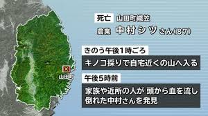 TBS NEWS DIG - News update