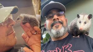 Fundraiser by Roger Forbes : Rest In Peace Cookie...