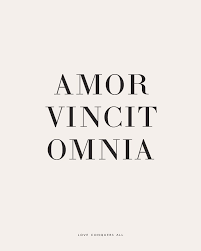 Amor Vincit Omnia Besotted Latin Love Quotes Latin Quotes Phrase Tattoos