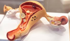 Jun 28, 2021 · rahim ağzı yarası ultrasonda görülür mü? Rahim Kanseri Endometrium Kanseri Nedir Belirtileri Nelerdir Bahceci