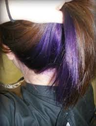 Under The Head Purple Purple Underneath Hair Blue Hair Underneath Under Hair Color