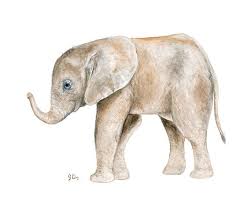 Animal Watercolor Painting Elephant Watercolor Animal Art Print Safari Animal African Animal Baby Animal Boy Elefant Malen Elefanten Wandkunst Elefant Aquarell