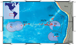 Cómo evitar que windows 10 actualice los controladores. Frontiers Environmental Drivers Of Mesophotic Echinoderm Assemblages Of The Southeastern Pacific Ocean Marine Science