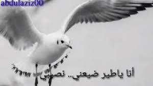 مسح كود qr في whatsapp web. Ø­Ù„Ø§Øª ÙˆØªØ³Ø§Ø¨ Ø¹Ø§ØµÙŠ Ø§Ù„Ø­Ù„Ø§Ù†ÙŠ Ù‚Ø¯ÙŠÙ… Mp3