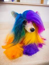 Opawz Permanent Dye For Dog And Horse Dog Hair Dye Creative Grooming Dyed Hair
