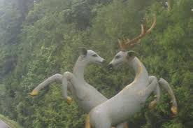 Check spelling or type a new query. Tafsir Arti Mimpi Tentang Rusa Terlengkap Dan Penting Perlu Kamu Ketahui Mentari Bali Holiday