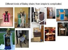 Different Kinds Of Bailey Chairs From Simple To Complicated Bailey Chair For Dogs Bailey Chairs Dogs Diy Projects
