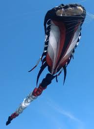 NEW to the Peter Lynn kite family