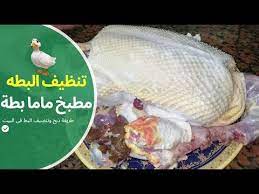 Check spelling or type a new query. Ø·Ø±ÙŠÙ‚Ø© Ø°Ø¨Ø­ ÙˆØªÙ†Ø¸ÙŠÙ Ø§Ù„Ø¨Ø· Ù…Ù† Ø§Ù„Ø±ÙŠØ´ ÙˆØ§Ù„Ø²ÙØ§Ø±Ù‡ ÙˆØªØ¬Ù‡ÙŠØ²Ù‡ Ù„Ù„Ø·Ø¨Ø® Ù…Ø·Ø¨Ø® Ù…Ø§Ù…Ø§ Ø¨Ø·Ø© Mama Bata Kitchen Youtube
