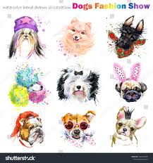 Row Of The Tops Of Heads Dog With Fashion Accessories Trendy Dogs Breed Set Pets Shop Background Cute Domestic Dog Stock Images Doggie Style Animal Drawings