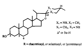 Image result for Eriocoelum microspermum