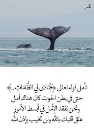 Pin By صورة و كلمة On مواعظ خواطر إسلامية Islam Quran Arabic Quotes Quran