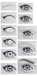 How To Draw An Eye Eye Drawing Cool Drawings Drawings