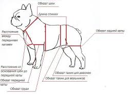 odezhka dlya sobaki dog coats dog clothes diy dog stuff