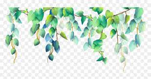 Check spelling or type a new query. Green Plant Plants Png Pngstickers Border Watercolor Leaves Transparent Png Download Vhv
