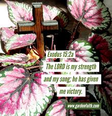 They remembered how god had freed them from slavery in egypt. The Lord Is My Strength And My Song Exodus 15 2 Garden Faith