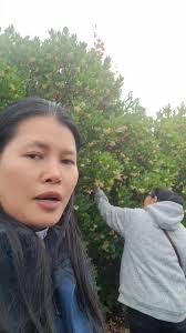 ពីរនាក់កូននិងម្តាយ #dailyvlog #followersreels #shortvideo #autumn  #yummyyummy #worklifebalance #khmerlife #usa #seattle Nhok Savoeun Kimheak  Heng