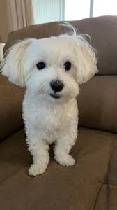 Mom is trying to make me laugh