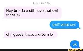 I Guess You Wonder Where I Ve Been Meme Hey Bro Do U Still Have That Owl For Sale Owl What Owl Oh I Guess It Was A Dream Lol Ifunny In 2020 Funny Text Messages Funny Texts Really Funny