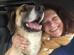 Goldie Fox, My faithful companion and friend for almost 12 yrs. passed away  peacefully last night. I have buried her deep and with heartfelt Ceremony,  in a beautiful place,