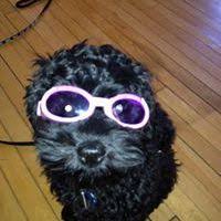 Alison Christopher (achristophe0527)